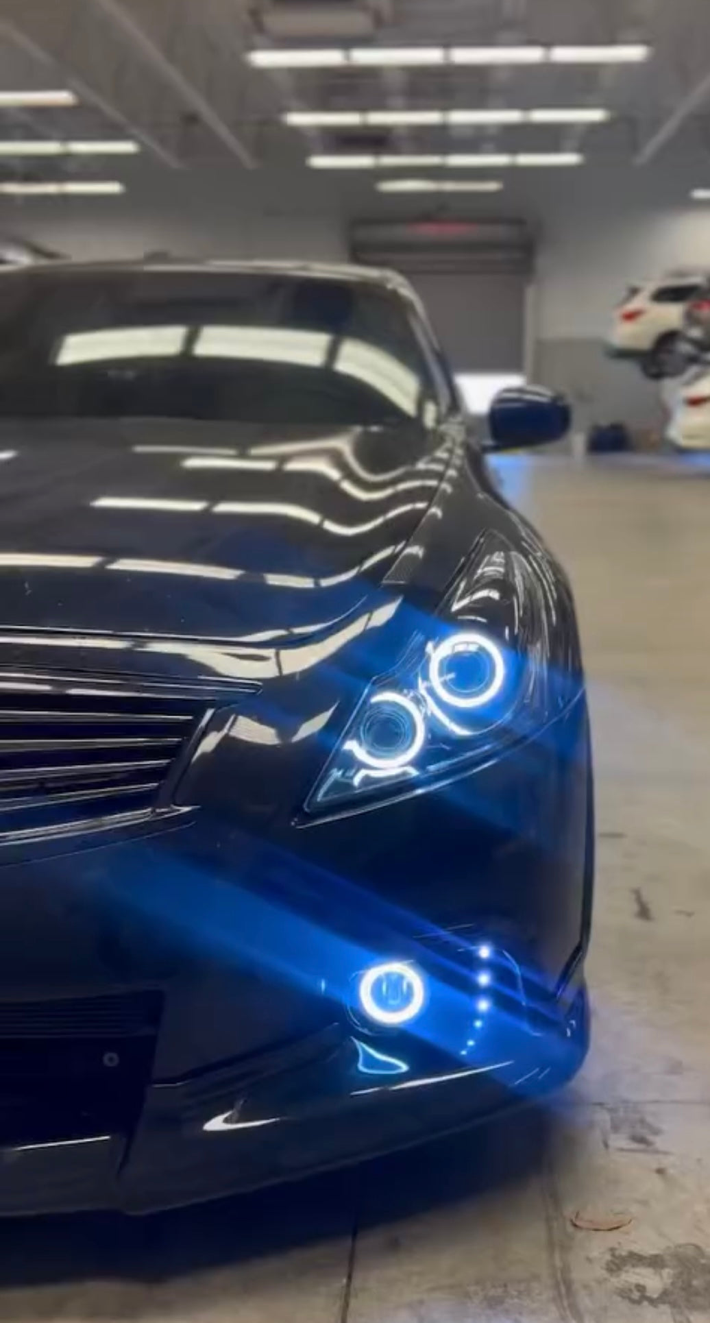 G37 Halo Fog Lights